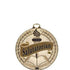 Scholastic Excellence Medals