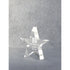 Acrylic Star Performer Paperweight