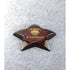 Star Performer Paperweight