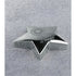 Star Performer Paperweight
