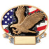 Eagle Burst Thru SilverStone Motion Award