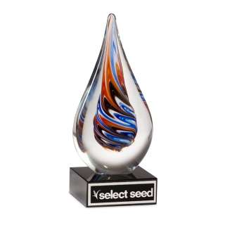 Red & Blue Teardrop Art Glass Award