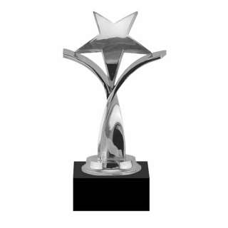 Twisting Star Silver Award