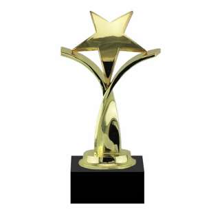 Twisting Star Gold Award