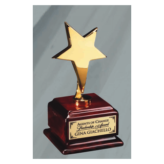 Metal Star Award