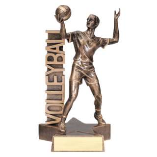 Signboard Male Volleyball Trophy