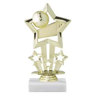 Star Theme Volleyball Trophy
